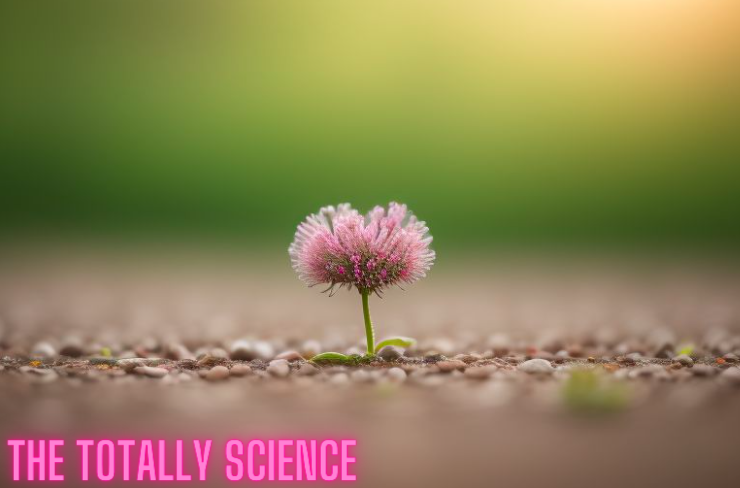 totally science, the totally science,